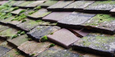 Aintree roof repair costs